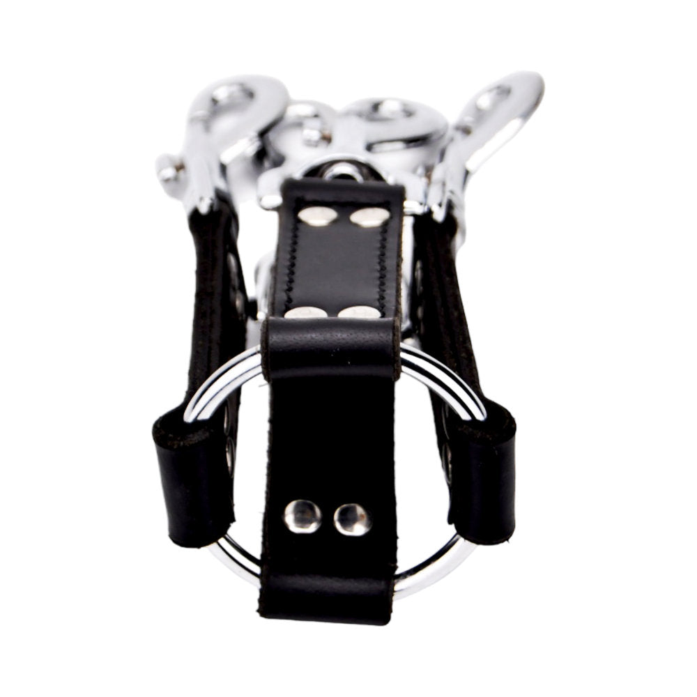 BOUND Leder-4-Wege-Hogtie
